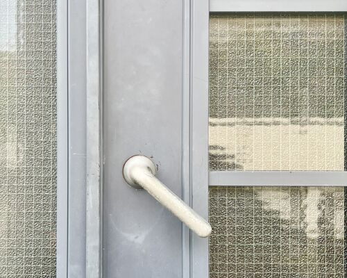 IMG_4538